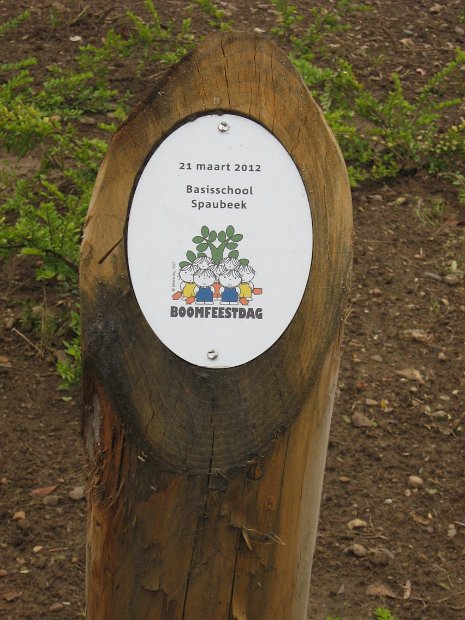 Herinnering Boomplantdag 2012